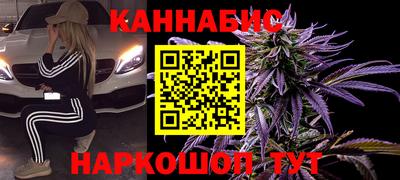 сатива Моздок