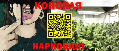 сатива Моздок