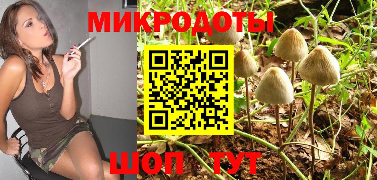 Щёлково  где можно купить   Вход с VPN  Галлюциногенные грибы прущие грибы 