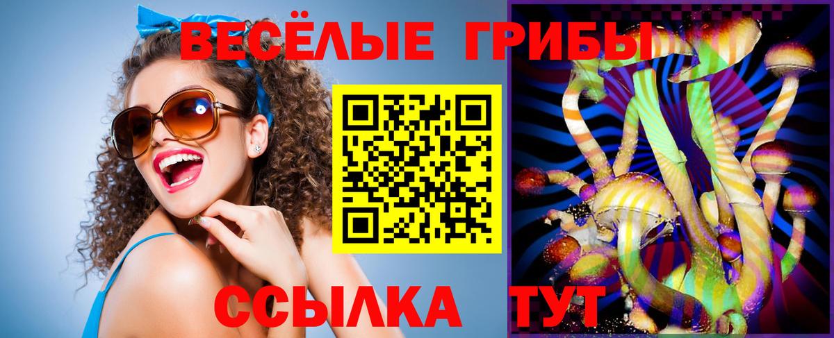 Галлюциногенные грибы Psilocybine cubensis Щёлково