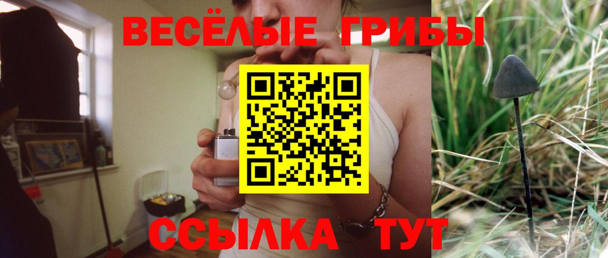 КОКАИН  Каннабис  Вход с VPN  ЭКСТАЗИ  Щёлково  МДМА  ГАШ  A PVP СК кристаллы  Мефедрон  