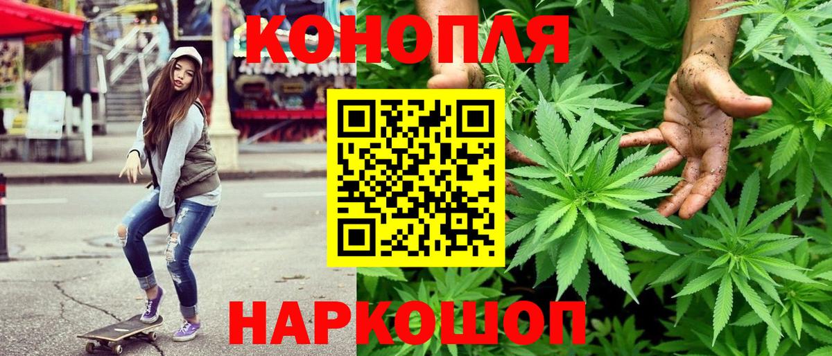 Бошки марихуана MAZAR Щёлково